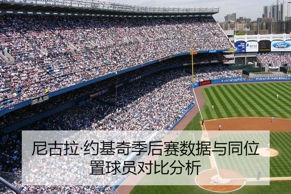 尼古拉·约基奇季后赛数据与同位置球员对比分析